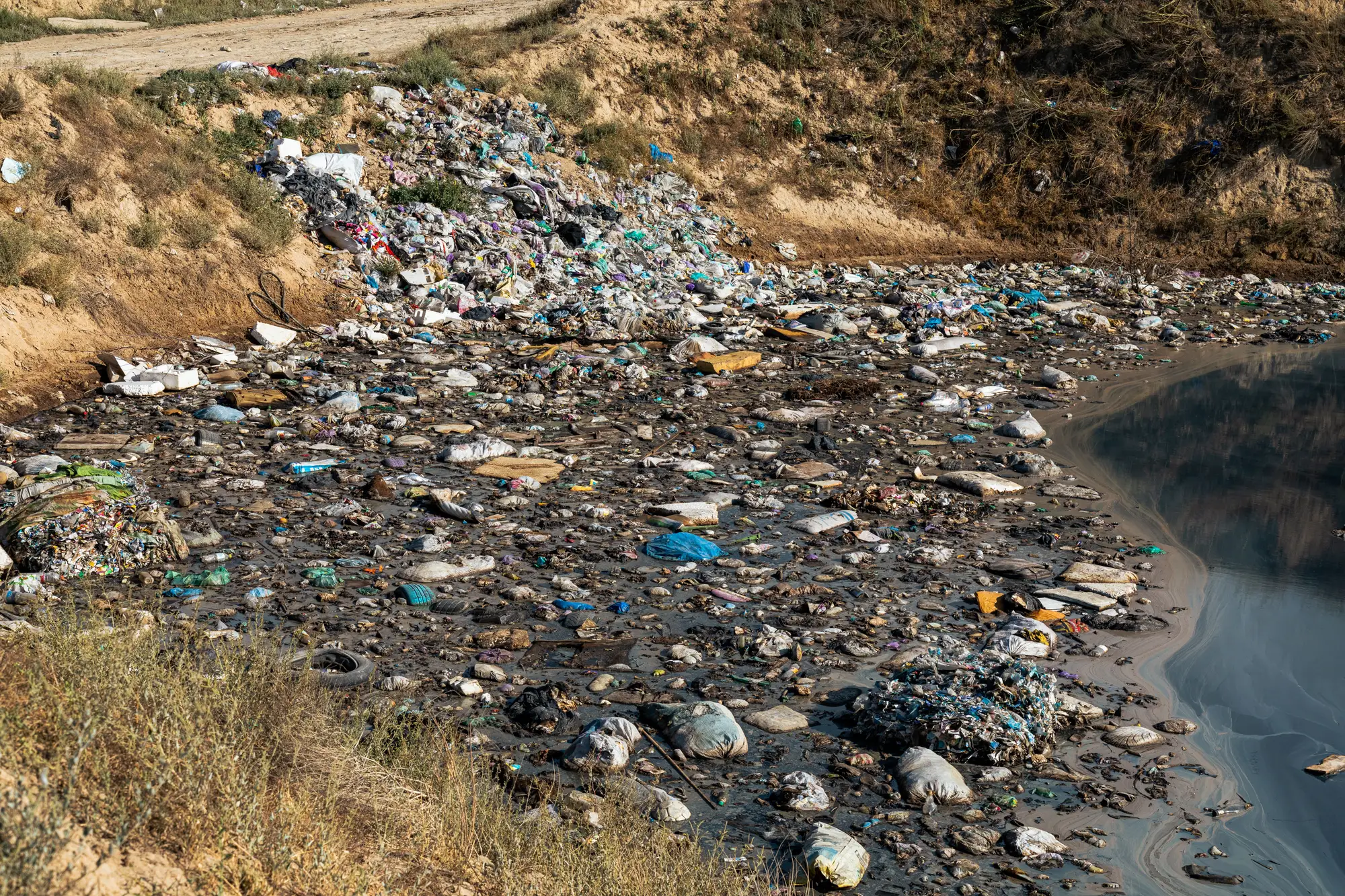 Plastic bottles, bags and other debris stranded along a muddy bank where the water slows